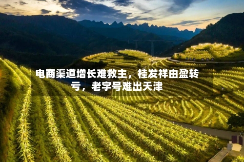 电商渠道增长难救主，桂发祥由盈转亏	，老字号难出天津-第2张图片