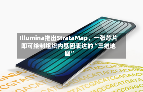Illumina推出StrataMap	，一张芯片即可绘制组织内基因表达的“三维地图”-第3张图片