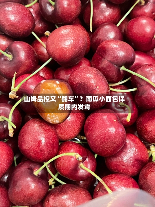 山姆品控又“翻车”？南瓜小面包保质期内发霉-第3张图片