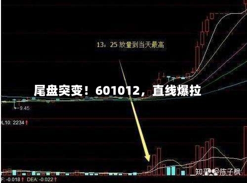尾盘突变！601012	，直线爆拉-第3张图片
