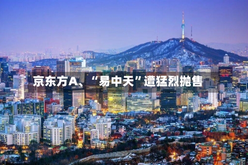 京东方A、“易中天”遭猛烈抛售-第2张图片