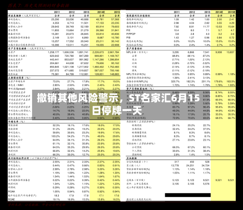撤销其他风险警示，ST名家汇6月15日停牌一天-第3张图片