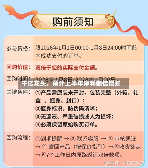 千亿龙头，预计上半年净利翻倍增长-第3张图片