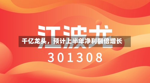 千亿龙头，预计上半年净利翻倍增长-第2张图片
