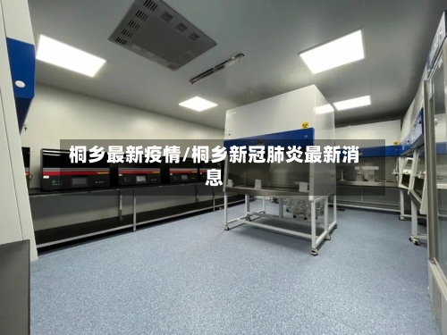 桐乡最新疫情/桐乡新冠肺炎最新消息-第2张图片
