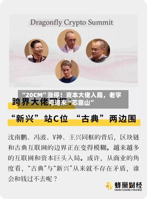 “20CM”涨停！资本大佬入局，老字号迎来“芯靠山	”-第3张图片