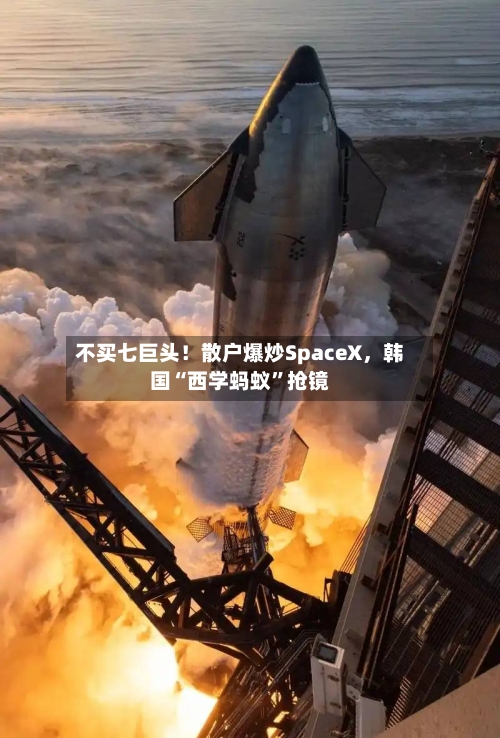 不买七巨头！散户爆炒SpaceX，韩国“西学蚂蚁	”抢镜-第3张图片