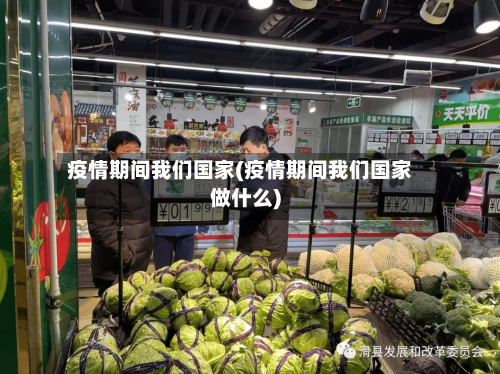 疫情期间我们国家(疫情期间我们国家做什么)-第2张图片