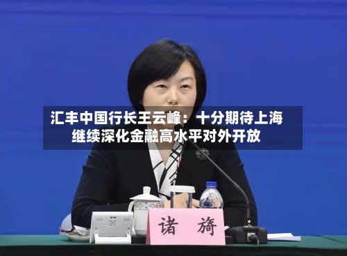 汇丰中国行长王云峰:十分期待上海继续深化金融高水平对外开放-第3张图片