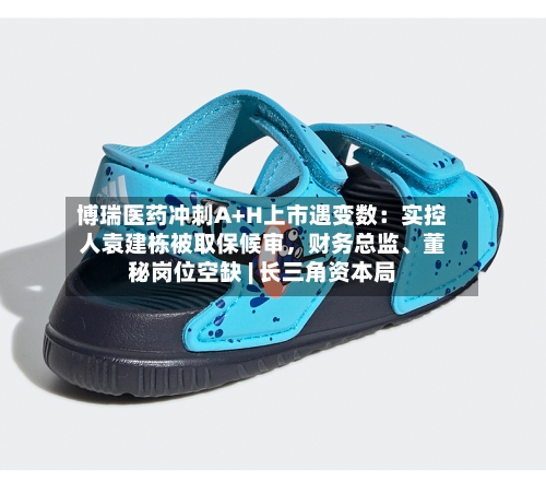 博瑞医药冲刺A+H上市遇变数：实控人袁建栋被取保候审，财务总监、董秘岗位空缺 | 长三角资本局-第2张图片