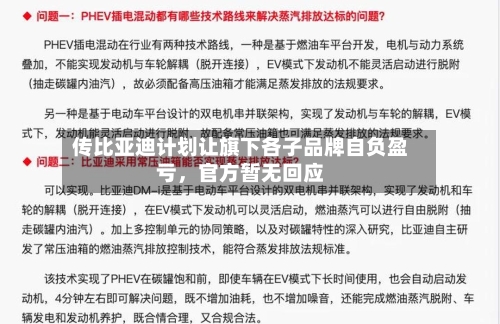 传比亚迪计划让旗下各子品牌自负盈亏，官方暂无回应-第3张图片
