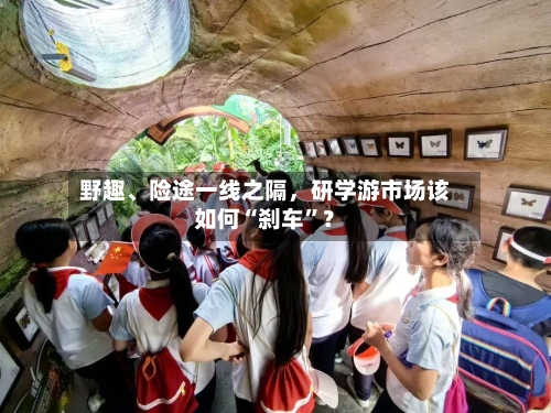 野趣、险途一线之隔，研学游市场该如何“刹车”？-第2张图片