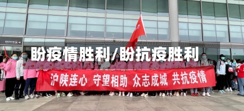 盼疫情胜利/盼抗疫胜利