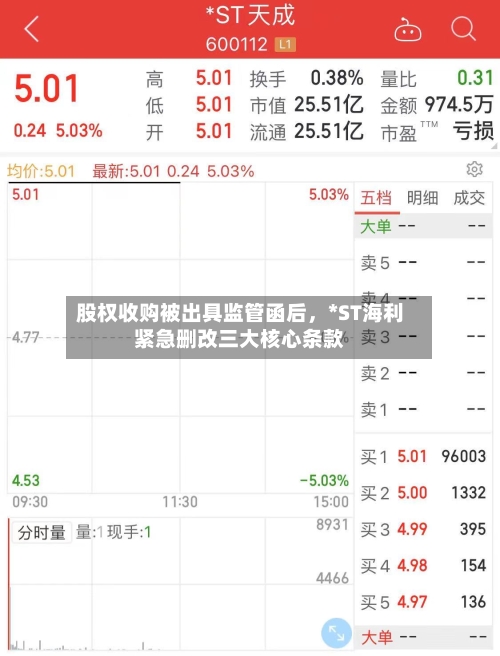 股权收购被出具监管函后，*ST海利紧急删改三大核心条款-第3张图片