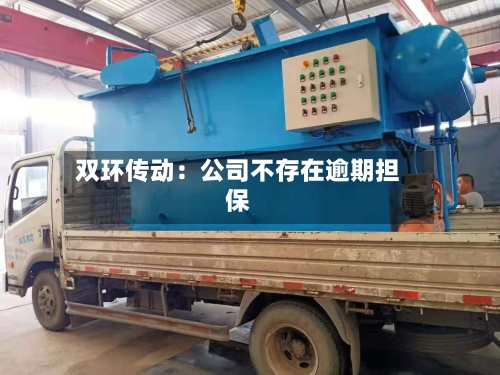 双环传动：公司不存在逾期担保-第2张图片