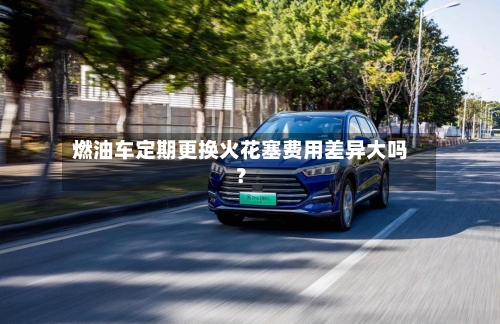 燃油车定期更换火花塞费用差异大吗？-第2张图片