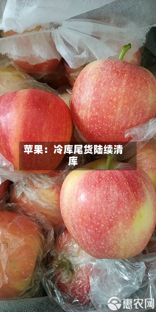 苹果：冷库尾货陆续清库-第3张图片
