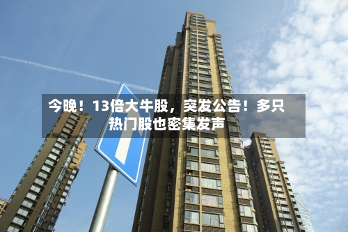 今晚！13倍大牛股，突发公告！多只热门股也密集发声-第3张图片