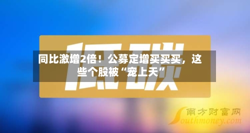 同比激增2倍！公募定增买买买，这些个股被“宠上天”-第2张图片