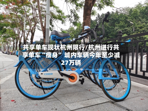 共享单车现状杭州限行/杭州进行共享单车“瘦身	” 城内车辆今年至少减27万辆-第2张图片