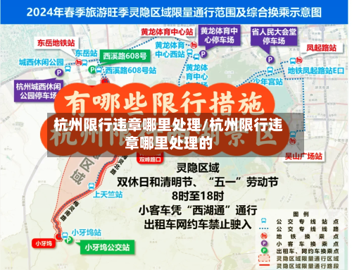 杭州限行违章哪里处理/杭州限行违章哪里处理的