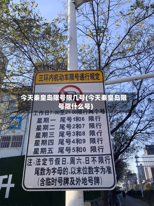 今天秦皇岛限号限几号(今天秦皇岛限号限什么号)-第2张图片