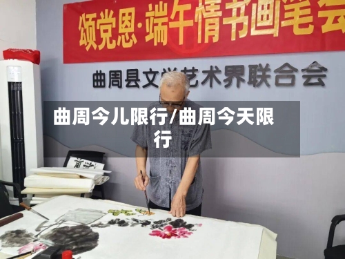 曲周今儿限行/曲周今天限行-第2张图片