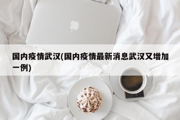 国内疫情武汉(国内疫情最新消息武汉又增加一例)