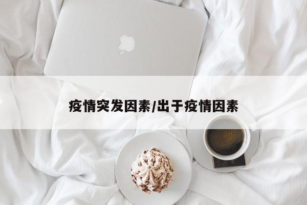 疫情突发因素/出于疫情因素