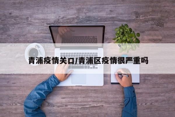 青浦疫情关口/青浦区疫情很严重吗